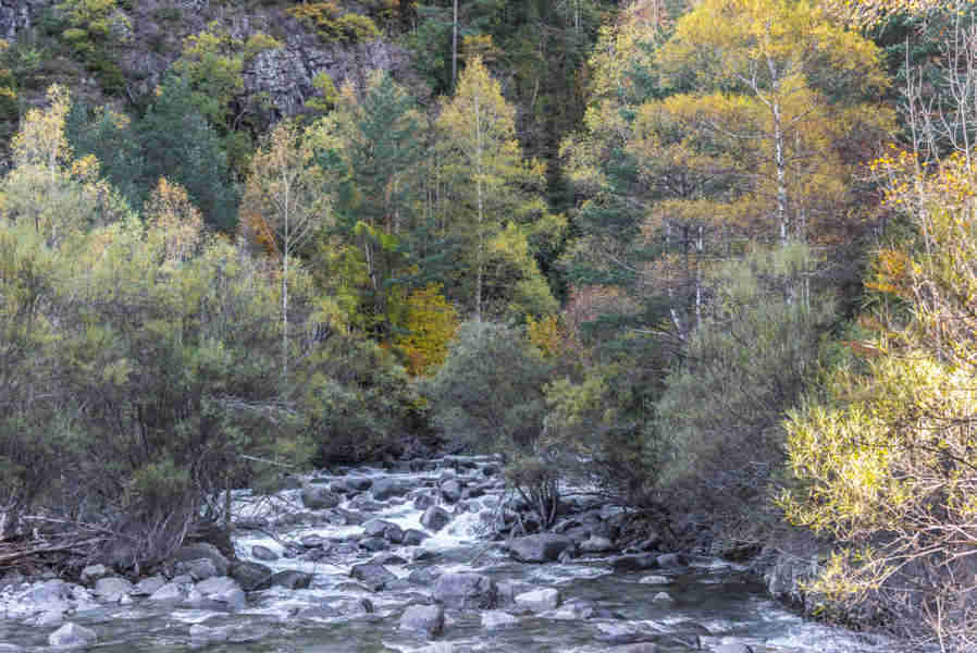 Huesca - valle de Broto 8 - rio Ara.jpg